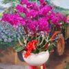hoa-lan-ho-diep (64)
